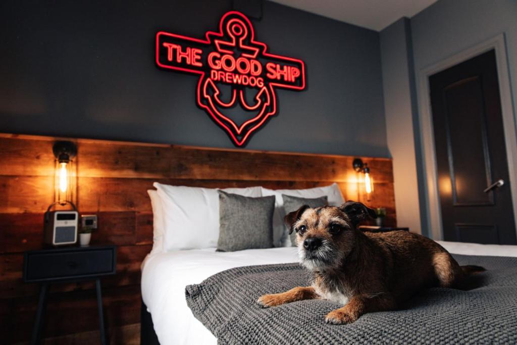 Brewdog Kennels - Aberdeen Ngoại thất bức ảnh